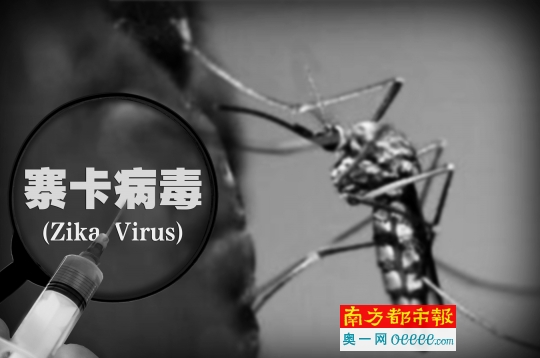 应对寨卡 世卫看好“生物武器”