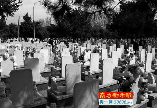 收入证明_丰南县医院收入(3)