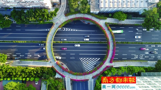 东风东路执信路口人行天桥,鲜花盛开似戴"花环".