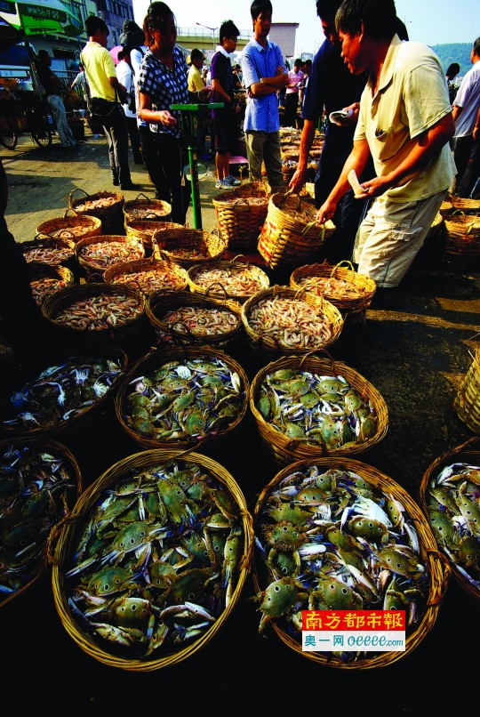 南海开渔！快拿好这份广东海鲜美食指南