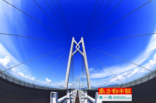 粤港澳大湾区求才 代表委员列出关键词