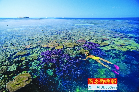 海岛潜水：冬季出境游的一股“暖流”