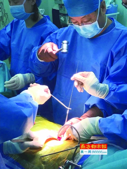 dcna022013_b.jpg