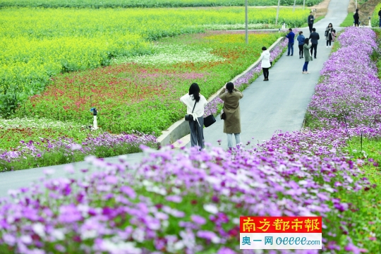 徜徉花海 秘境寻踪