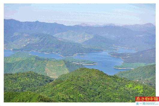 ↓七星坑省级自然保护区,是广东省内唯一的国家级水源保护地.