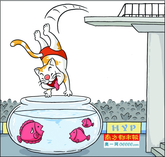 动物运动会之谁说猫咪怕跳水