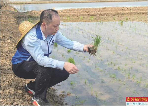 党建强基 金融兴业 文化铸魂
